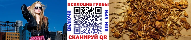 хочу   Власиха  Галлюциногенные грибы ЛСД 